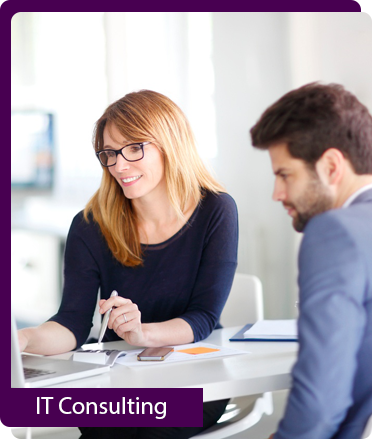 IT Consulting